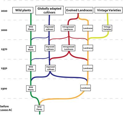 Toward an Evolved Concept of Landrace